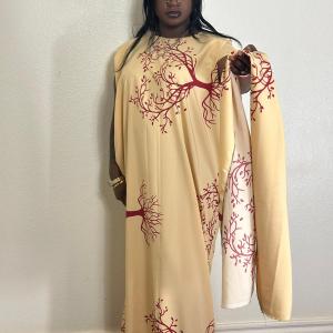 Dira Women Gowns